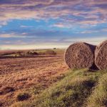 Yorkshire photography